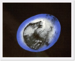 Kapsel 02 * Kapsel 2&nbsp;&nbsp;(color etching, 20x25 cm) * 2925 x 2333 * (4.31MB)