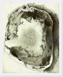 Kapsel 09 * Kapsel 9&nbsp;&nbsp;(color etching, 20x25 cm) * 3283 x 4108 * (5.27MB)