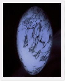 Kapsel 19 * Kapsel 19&nbsp;&nbsp;(color etching, 20x25 cm * 3217 x 4067 * (4.12MB)