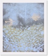 Moontemple 26 * Moon Temple 26&nbsp;&nbsp;(monotype, 65x55 cm) * 1559 x 1843 * (440KB)
